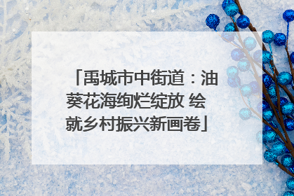 禹城市中街道：油葵花海绚烂绽放 绘就乡村振兴新画卷