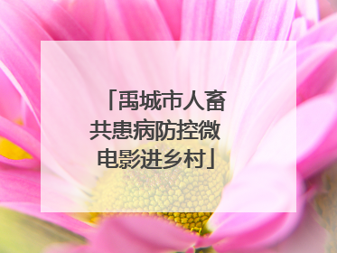禹城市人畜共患病防控微电影进乡村