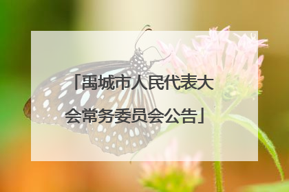 禹城市人民代表大会常务委员会公告
