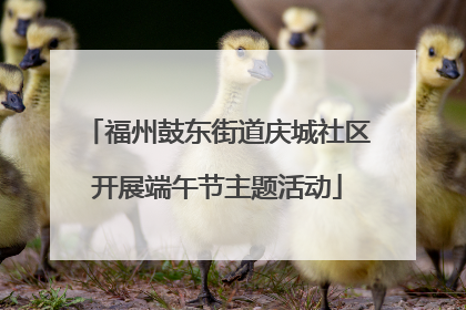 福州鼓东街道庆城社区开展端午节主题活动