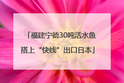 福建宁德30吨活水鱼搭上“快线”出口日本