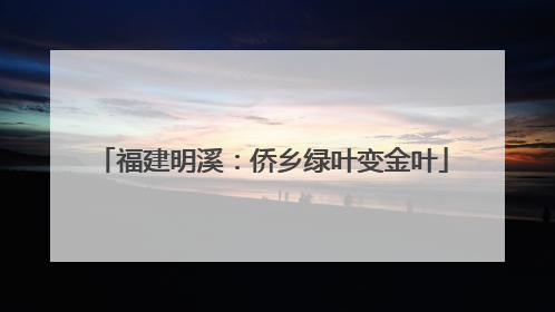 福建明溪：侨乡绿叶变金叶