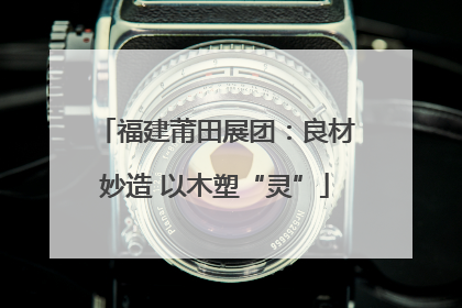 福建莆田展团：良材妙造 以木塑“灵”