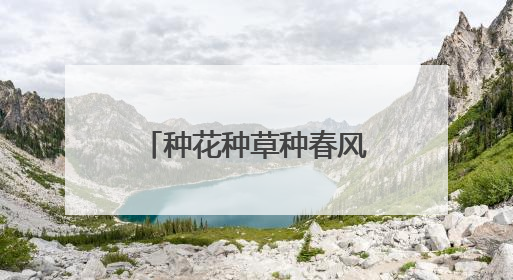 种花种草种春风，天心区金桂小区“金美花园”种出治理新气象