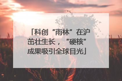 科创“雨林”在沪茁壮生长，“硬核”成果吸引全球目光