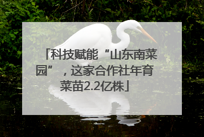 科技赋能“山东南菜园”，这家合作社年育菜苗2.2亿株