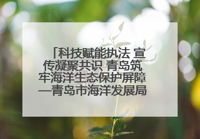 科技赋能执法 宣传凝聚共识 青岛筑牢海洋生态保护屏障—青岛市海洋发展局开展“世界海洋日”和“全国海洋宣传日”宣传活动