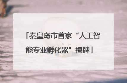 秦皇岛市首家“人工智能专业孵化器”揭牌