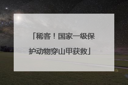 稀客！国家一级保护动物穿山甲获救