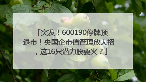 突发！600190停牌预退市！央国企市值管理放大招，这16只潜力股要火？