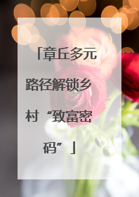 章丘多元路径解锁乡村“致富密码”