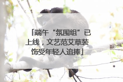 端午“氛围组”已上线，文艺范艾草装饰受年轻人追捧