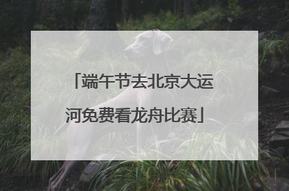 端午节去北京大运河免费看龙舟比赛