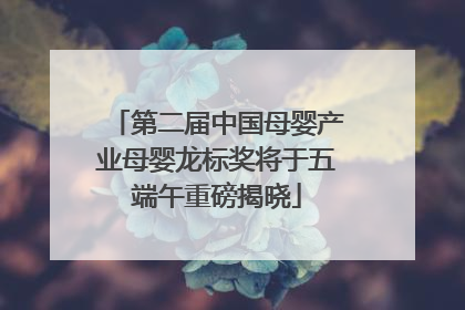 第二届中国母婴产业母婴龙标奖将于五端午重磅揭晓