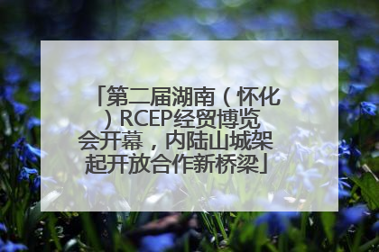 第二届湖南（怀化）RCEP经贸博览会开幕，内陆山城架起开放合作新桥梁