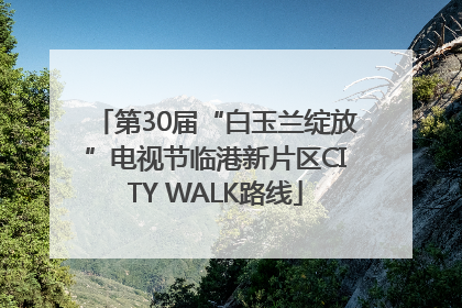 第30届“白玉兰绽放”电视节临港新片区CITY WALK路线