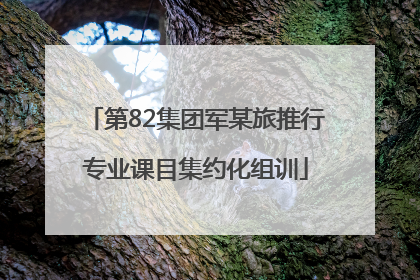 第82集团军某旅推行专业课目集约化组训