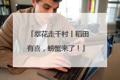 翠花走千村丨稻田有喜，螃蟹来了！