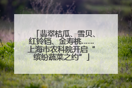翡翠桔瓜、雪贝、红铃铛、金寿桃……上海市农科院开启“缤纷蔬菜之约”