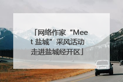 网络作家“Meet 盐城”采风活动走进盐城经开区