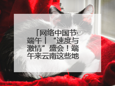 网络中国节·端午丨“速度与激情”盛会！端午来云南这些地方看龙舟竞渡