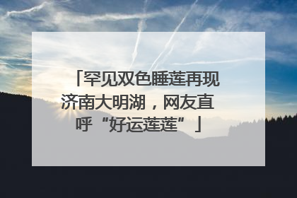 罕见双色睡莲再现济南大明湖，网友直呼“好运莲莲”