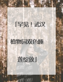 罕见！武汉植物园双色睡莲绽放