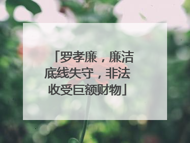 罗孝廉，廉洁底线失守，非法收受巨额财物