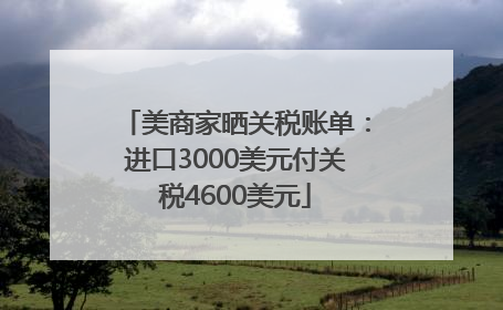 美商家晒关税账单：进口3000美元付关税4600美元