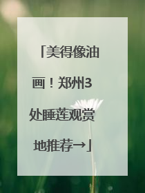 美得像油画！郑州3处睡莲观赏地推荐→