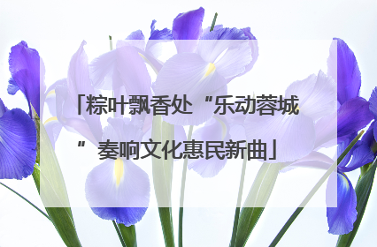 粽叶飘香处“乐动蓉城”奏响文化惠民新曲