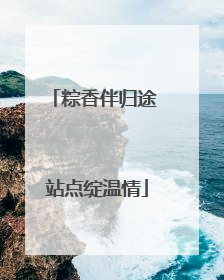 粽香伴归途 站点绽温情