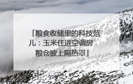 粮食收储里的科技范儿：玉米住进空调房 粮仓披上隔热罩