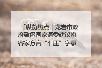 纵览热点｜龙岩市政府致函国家语委建议将客家方言“亻厓”字录入《新华字典》引发热议，当地回应