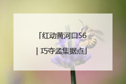 红动黄河口56｜巧夺孟集据点