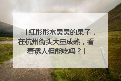 红彤彤水灵灵的果子，在杭州街头大量成熟，看着诱人但能吃吗？