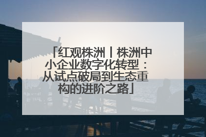 红观株洲丨株洲中小企业数字化转型：从试点破局到生态重构的进阶之路