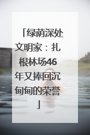 绿荫深处文明家：扎根林场46年又捧回沉甸甸的荣誉