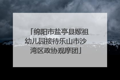 绵阳市盐亭县嫘祖幼儿园接待乐山市沙湾区政协观摩团