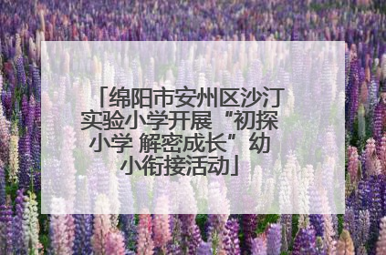 绵阳市安州区沙汀实验小学开展“初探小学 解密成长”幼小衔接活动