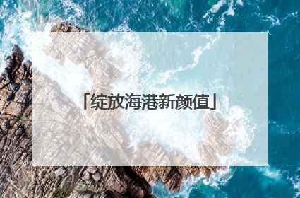 绽放海港新颜值