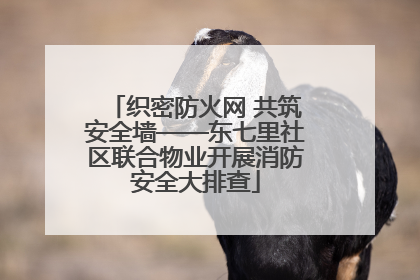织密防火网 共筑安全墙——东七里社区联合物业开展消防安全大排查