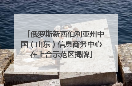 俄罗斯新西伯利亚州中国（山东）信息商务中心在上合示范区揭牌