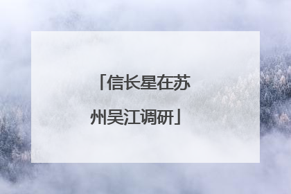 信长星在苏州吴江调研