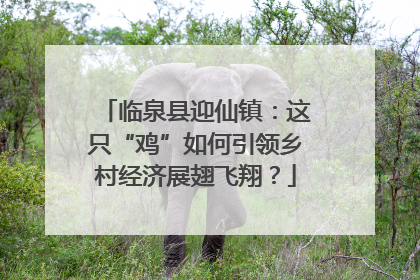 临泉县迎仙镇：这只“鸡”如何引领乡村经济展翅飞翔？