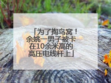 为了掏鸟窝！余姚一男子被卡在10余米高的高压电线杆上