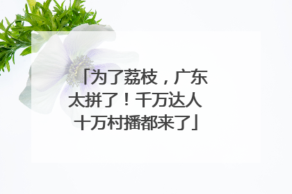 为了荔枝，广东太拼了！千万达人十万村播都来了