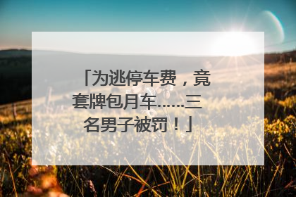 为逃停车费，竟套牌包月车……三名男子被罚！