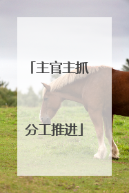 主官主抓 分工推进