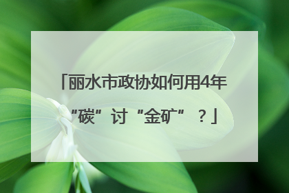 丽水市政协如何用4年“碳”讨“金矿”？